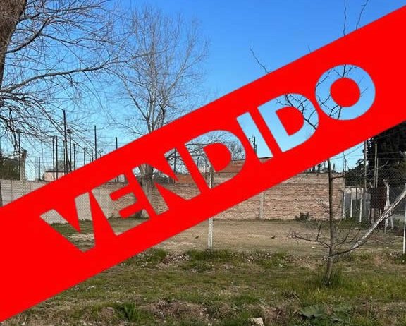 ARRANZ-6-1-VENDIDO_C