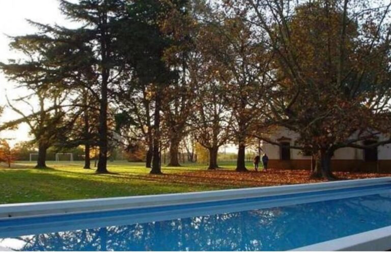 Imagen de WhatsApp 2023-01-16 a las 16.09.06