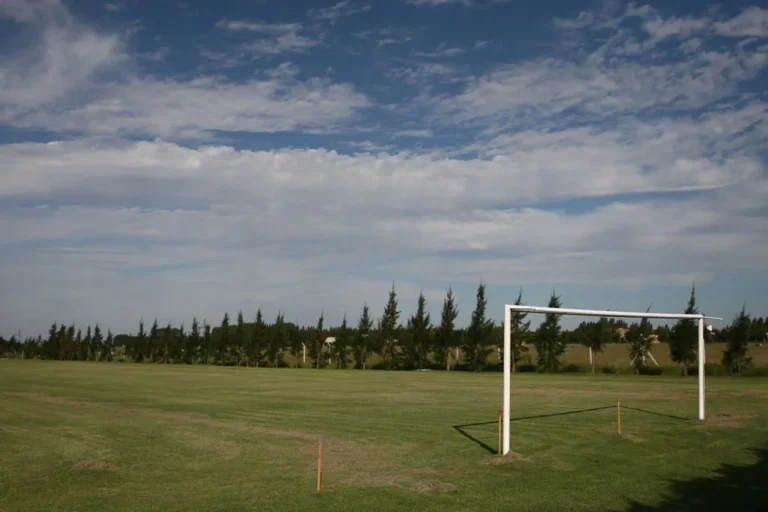 ARRANZ-172-7