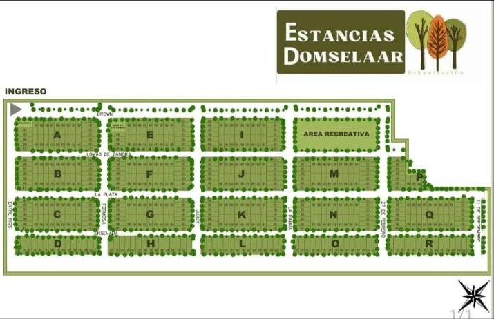 ARRANZ-195-1