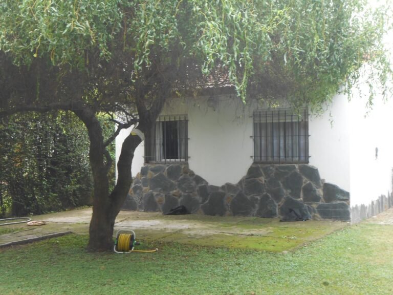 ARRANZ-196-1