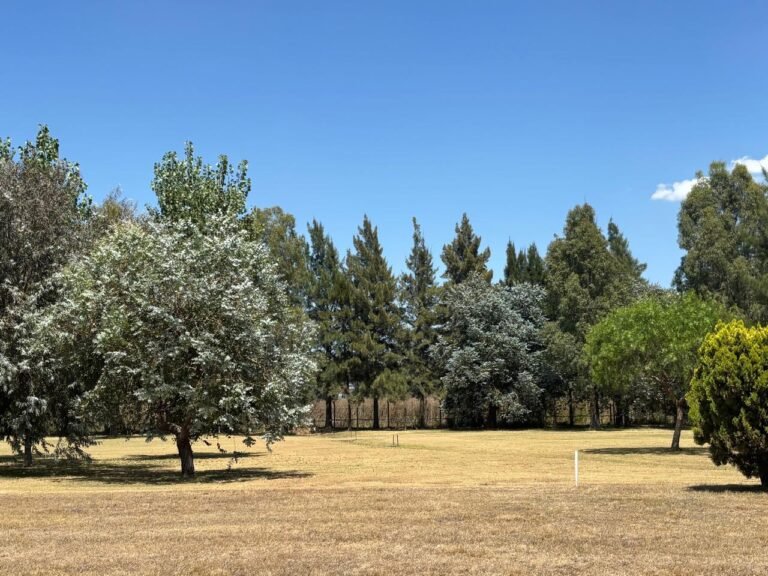 ARRANZ - 222 - 4