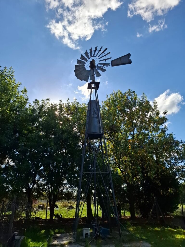 ARRANZ-281-20
